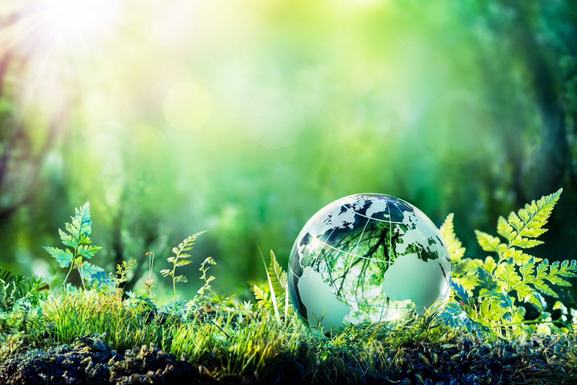 Umweltschutz - Der Natur und Umwelt zuliebe