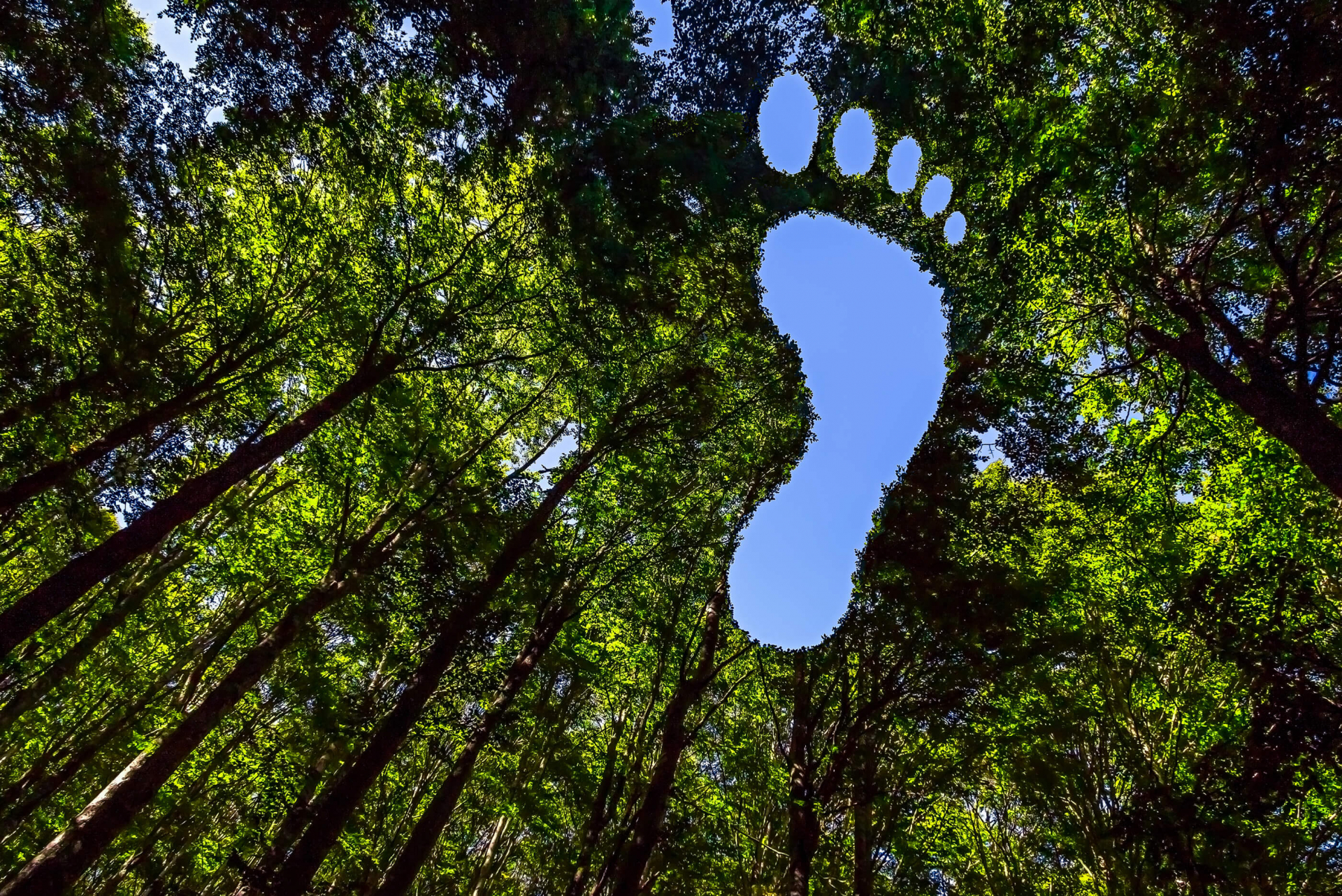 Umweltschutz Fußabdruck