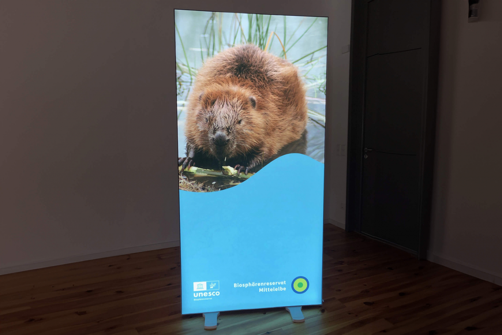 LED Leuchtwand isyLED12 Biosphärenreservat Mittelelbe LED Leuchtwand isyLED12 Biosphärenreservat Mittelelbe